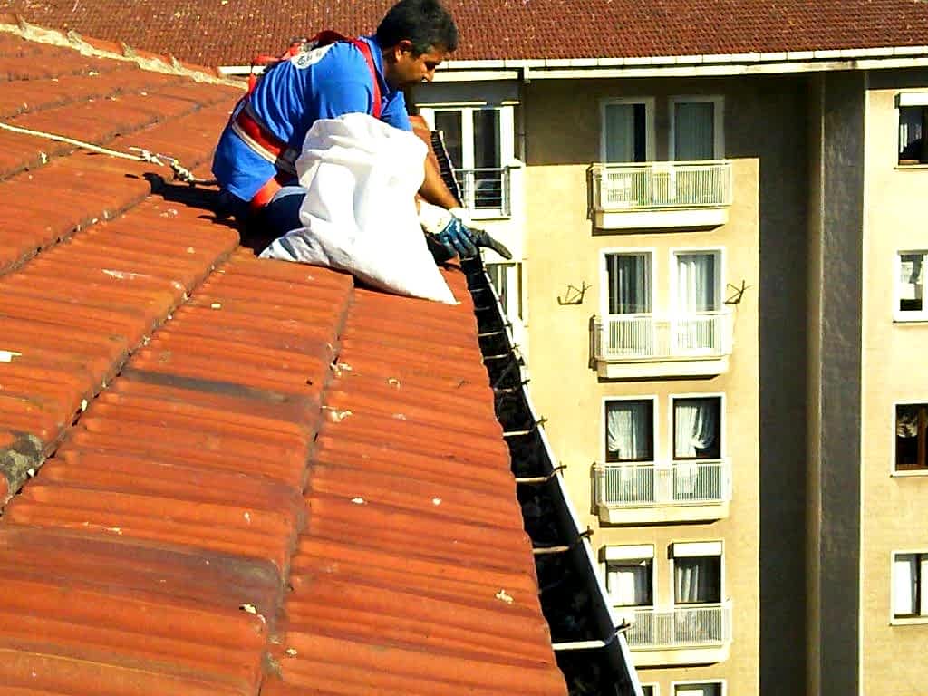 Çatı Temizliği